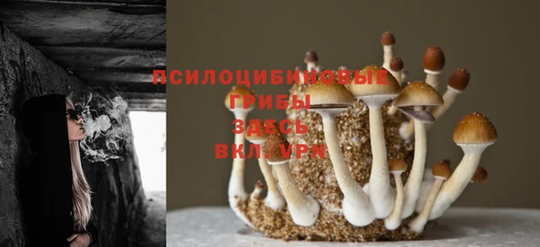 mdma Лихославль