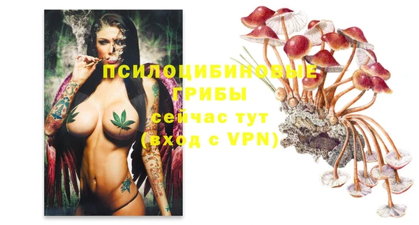 mdma Лихославль